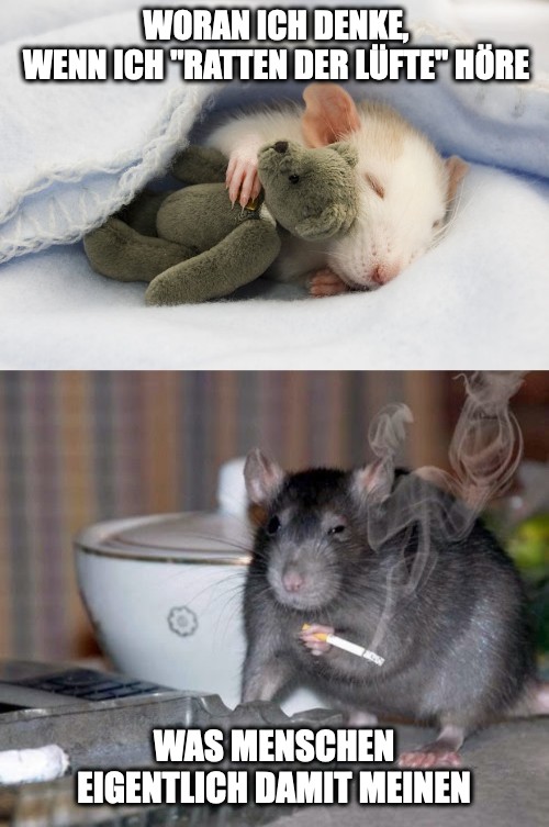 Meme: Oberes Bild: Eine weiße Ratte kuschelt unter einer Decke und hält ein Kuscheltier im Arm. Darüber steht “Woran ich denke, wenn ich “Ratten der Lüfte” höre. Unteres Bild: Eine graue Ratte raucht eine Zigarette und kneift die Augen zusammen. Darunter steht “Was Menschen eigentlich damit meinen.”